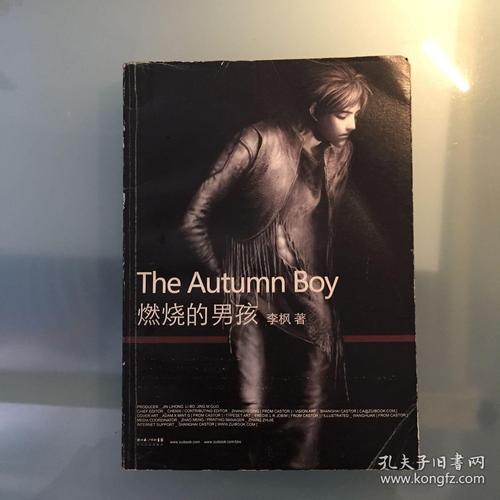 燃烧男孩_700字