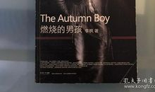 燃烧的男孩_700字