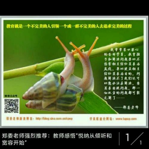 天主教老师