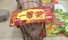 高中优美段子摘选