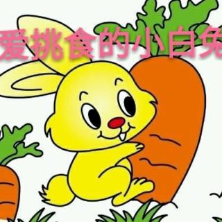 我心爱的小白兔