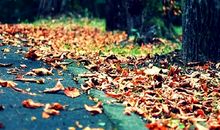 困境造就英才_800字