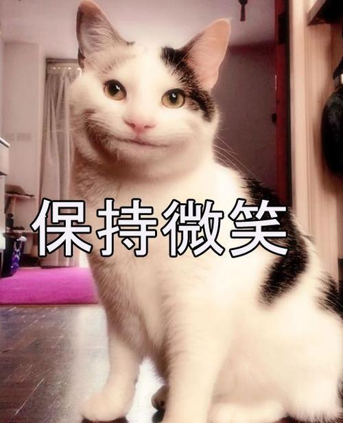 解释生活，面对微笑姿态_1500字