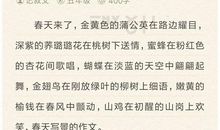 六年级写景作文：白雪_800字