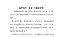 初三写人作文：枣树下的竹椅_800字