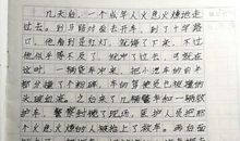 变形记作文路灯