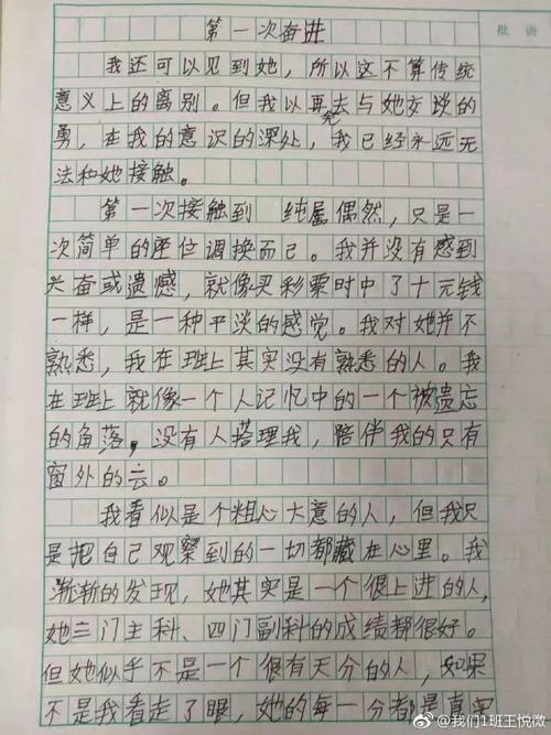 初级三作响：再见鲁迅_800字