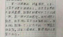 初三写人作文：再见鲁迅_800字