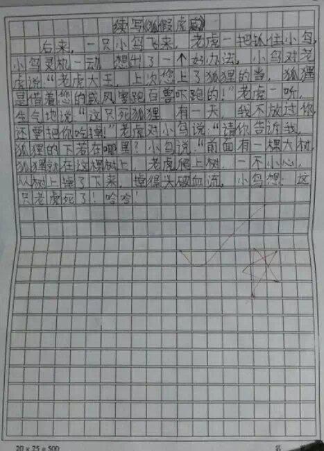 福克斯假老虎，写_350字