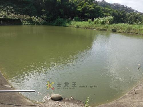 幸福的鱼池