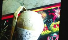 劣质烟花惹的祸_600字