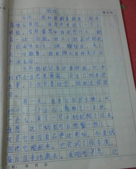 用脂肪的组成