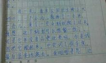 关于肥肉的作文