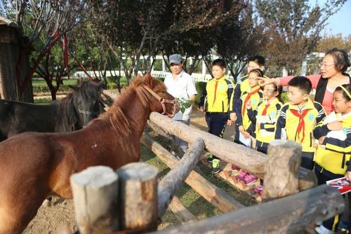 学校是一个动物园