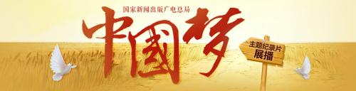 我的梦想_250字