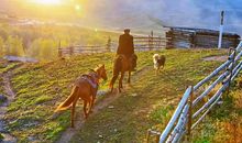 与秋天的一次邂逅_800字