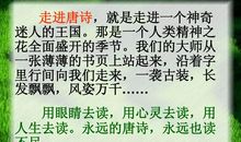 读唐诗《春望》有感_450字