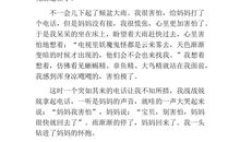 关于雷的作文：雷雨四步曲_600字