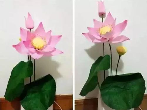 夏季魅力