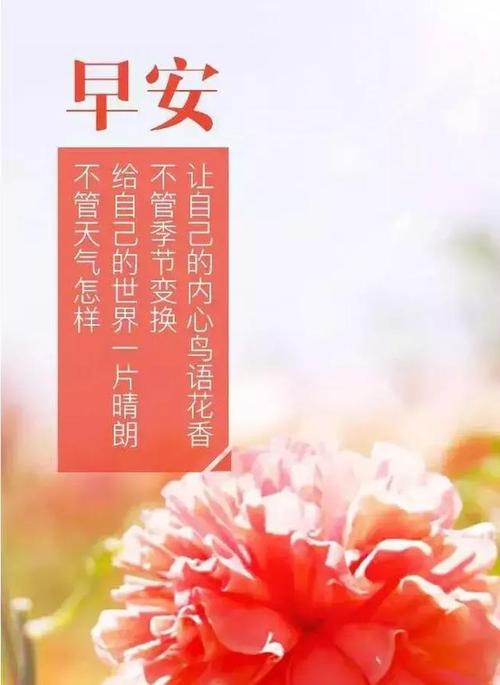 快乐的白花_700字