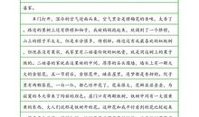 小学作文：关于雷的作文700字_750字