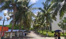 你的星儿落下了_900字