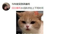 关于雷的作文：描写雷电的优美词句_750字