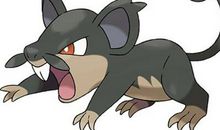 老鼠恶恶和它的弟弟善善_400字