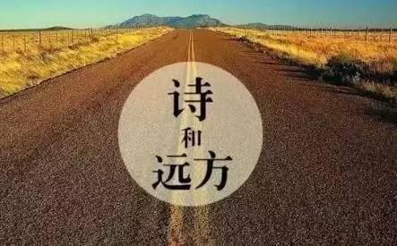阅读旅程_550字
