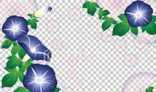 清晨（贾凯）_450字