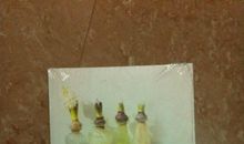 爱你身边的一切（董嘉琪）_900字