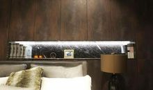 读《布鲁斯和蜘蛛》有感（马彧霏）_550字