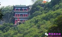 神农山旅游_500字