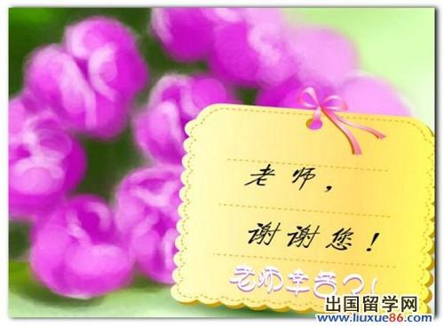 老师的一天信