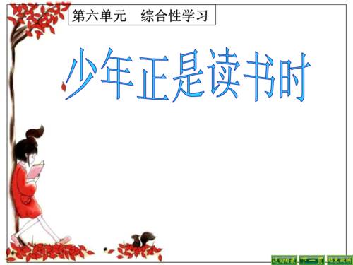 少年探索