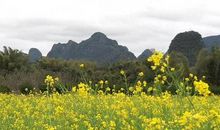 就是这道风景_650字