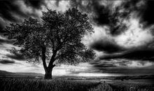 永恒的风景_800字