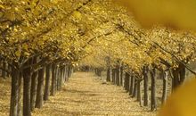 妈妈给的风景_750字