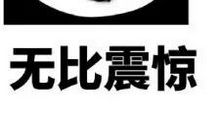 我的笨同学（王?之）_350字