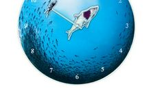 鲨鱼独特的细胞（王?之）_450字