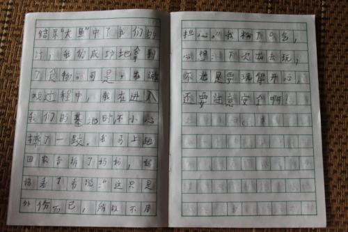 学校学生夏天每日300字：妹妹_350字