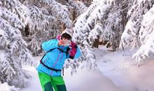 迷人的雪景（詹效）_500字