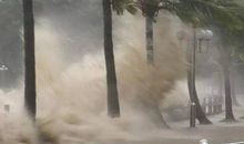 台风中有你有我_600字