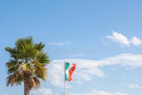 夏天蓝蓝的天空_550字