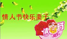 我喜欢的你_150字