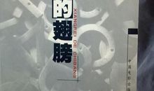 年轻的翅膀好想飞_700字