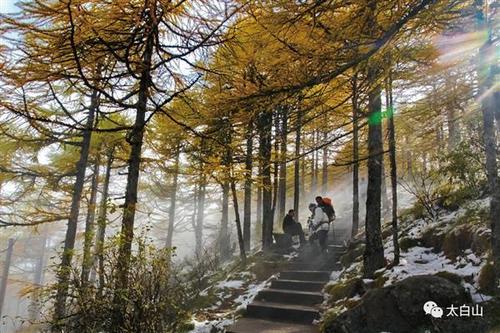 快乐的太白山旅游_400字