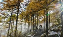 快乐的太白山旅游_400字