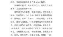 五年级白鹭2至5段改写成说明文400字