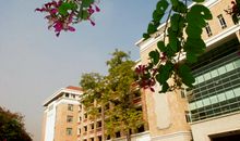 早晨的校园_500字